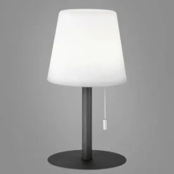 Lampe à poser FHL-easy Garden LED Anthracite, 1 lumière, Changeur de couleurs
