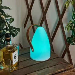 Lampe à poser Guari LED Brun, Blanc, 1 lumière, Changeur de couleurs
