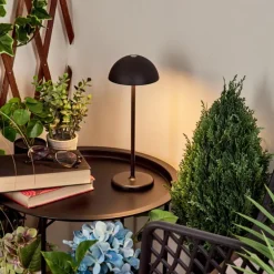 Lampe à poser Pelaro LED Noir, 1 lumière