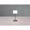 Lampe à poser Reality Sanchez LED Anthracite, 1 lumière, Changeur de couleurs