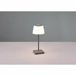 Lampe à poser Reality Sanchez LED Anthracite, 1 lumière, Changeur de couleurs
