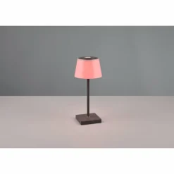 Lampe à poser Reality Sanchez LED Anthracite, 1 lumière, Changeur de couleurs
