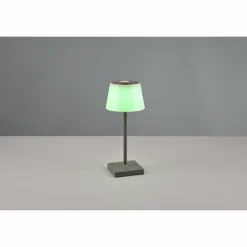 Lampe à poser Reality Sanchez LED Anthracite, 1 lumière, Changeur de couleurs