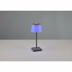 Lampe à poser Reality Sanchez LED Anthracite, 1 lumière, Changeur de couleurs