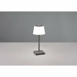 Lampe à poser Reality Sanchez LED Anthracite, 1 lumière, Changeur de couleurs