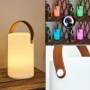 Lampe à poser Tacuala LED Brun, Blanc, 1 lumière, Changeur de couleurs