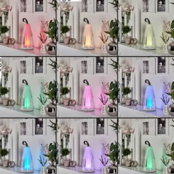 Lampe à poser Yari LED Gris, Transparent, Blanc, 1 lumière, Télécommandes, Changeur de couleurs