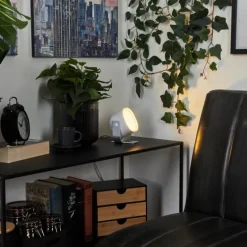 Lampe de table Ledo Argenté, 1 lumière, Changeur de couleurs