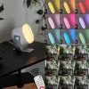 Lampe de table Ledo Argenté, 1 lumière, Télécommandes, Changeur de couleurs