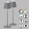 FHL easy Éclairage Led|Lampe de table 2 set Cosenza LED Gris, 1 lumière, Changeur de couleurs