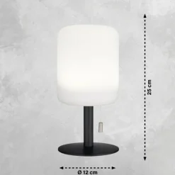 FHL easy Éclairage Led|Lampe de table Larino LED Anthracite, 1 lumière, Changeur de couleurs