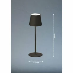 FHL easy Éclairage Led|Lampe de table Tropea LED Noir, 1 lumière