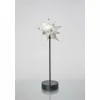 Luminaires Holländer Lampes À Poser|Lampe de table Holländer PICCOLA LUMACHE Noir, Argenté, 1 lumière