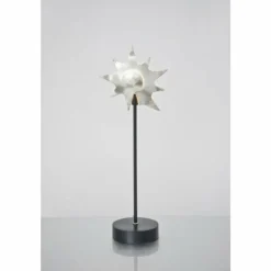Luminaires Holländer Lampes À Poser|Lampe de table Holländer PICCOLA LUMACHE Noir, Argenté, 1 lumière