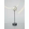 Luminaires Holländer Lampes À Poser|Lampe de table Holländer PICCOLA SOLE Noir, Argenté, 1 lumière