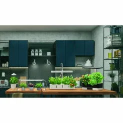 Luminaires Ledvance Éclairage Led|Lampe de table LEDVANCE Indoor Garden Blanc, 1 lumière