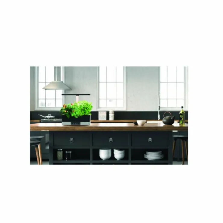Luminaires Ledvance Éclairage Led|Lampe de table LEDVANCE Indoor Garden Noir, 1 lumière