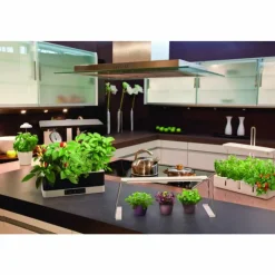 Luminaires Ledvance Éclairage Led|Lampe de table LEDVANCE Indoor Garden Noir, 1 lumière