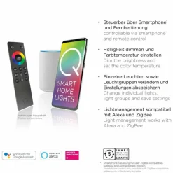 Lampe de table Leuchten-Direkt Q-VITO LED Anthracite, 1 lumière, Télécommandes