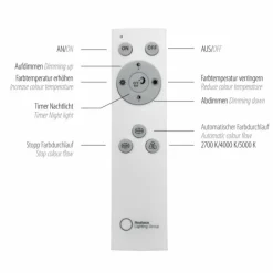 Luminaires Leuchten Direkt Lampes À Poser|Lampe de table Leuchten-Direkt FELIX60 LED Acier brossé, 2 lumières, Télécommandes, Changeur de couleurs