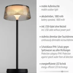 Lampe de table Leuchten-Direkt DORA LED Noir, 1 lumière