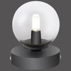 Luminaires Paul Neuhaus Éclairage Led|Lampe de table Paul Neuhaus WIDOW LED Nickel mat, Noir, 1 lumière