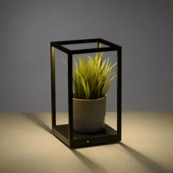 Luminaires Paul Neuhaus Éclairage Led|Lampe de table Paul-Neuhaus CONTURA LED Noir, 2 lumières