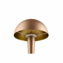 Luminaires Reality Lampes À Poser|Lampe de table Reality CANARIA LED Brun, 1 lumière
