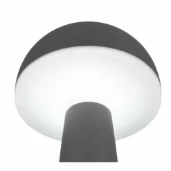 Lampe de table Reality FUNGO LED Anthracite, 1 lumière