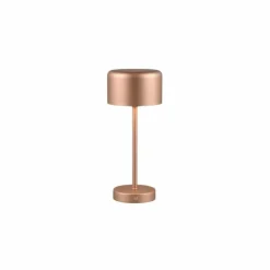 Luminaires Reality Éclairage Led|Lampe de table Reality JEFF LED Brun, 1 lumière