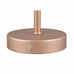 Luminaires Reality Éclairage Led|Lampe de table Reality JEFF LED Brun, 1 lumière