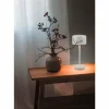 Luminaires Reality Éclairage Led|Lampe de table Reality JEFF LED Gris, 1 lumière