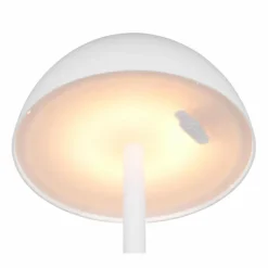Lampe de table Reality RICARDO LED Blanc, 1 lumière