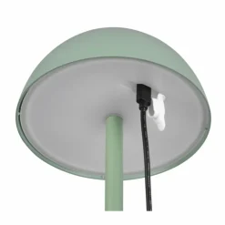 Lampe de table Reality RICARDO LED Vert, 1 lumière