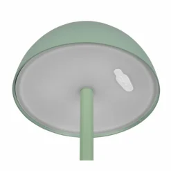 Lampe de table Reality RICARDO LED Vert, 1 lumière