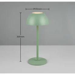 Lampe de table Reality RICARDO LED Vert, 1 lumière