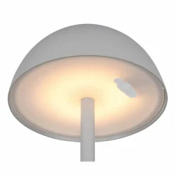 Lampe de table Reality RICARDO LED Gris, 1 lumière
