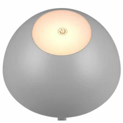 Lampe de table Reality RICARDO LED Gris, 1 lumière