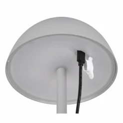 Lampe de table Reality RICARDO LED Gris, 1 lumière