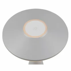 Lampe de table Reality TORREZ LED Gris, 1 lumière