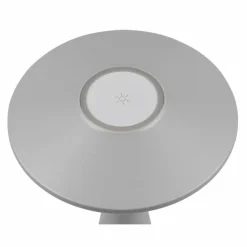 Lampe de table Reality TORREZ LED Gris, 1 lumière