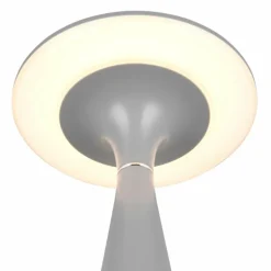 Lampe de table Reality TORREZ LED Gris, 1 lumière