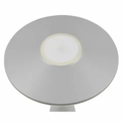 Lampe de table Reality TORREZ LED Gris, 1 lumière
