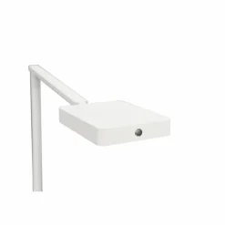 Luminaires Trio Lampes À Poser|Lampe de table Trio Pavia LED Blanc, 1 lumière