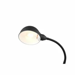 Luminaires Trio Lampes À Poser|Lampe de table Trio Perry Noir, 1 lumière