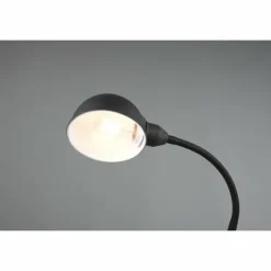 Luminaires Trio Lampes À Poser|Lampe de table Trio Perry Noir, 1 lumière