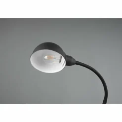 Luminaires Trio Lampes À Poser|Lampe de table Trio Perry Noir, 1 lumière