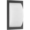 Lampe murale d'extérieur LCD LED Noir, 1 lumière