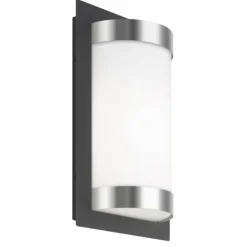 Lampe murale d'extérieur LCD Acier inoxydable, Noir, 1 lumière