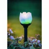 lampe solaire Eglo BLÜTE LED Noir, 2 lumières, Changeur de couleurs